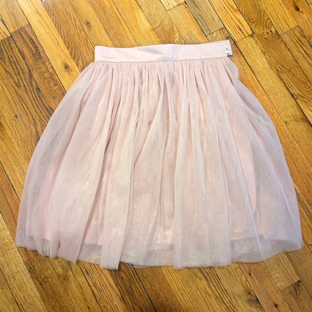 Muted light pink tulle skirt, handmade from Etsy, ~25" waist and 21" long.